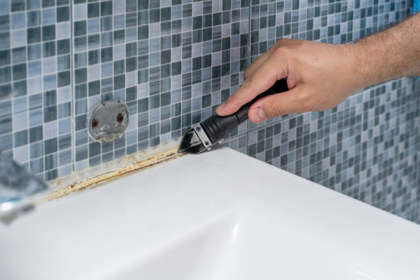 Best Kitchen Mold Remediation in Roan Mountain, TN